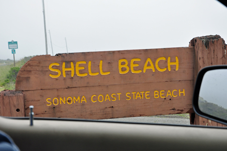sign - Shell Beach