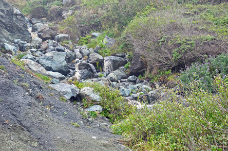 rocks and a small stream to the left of the path down
