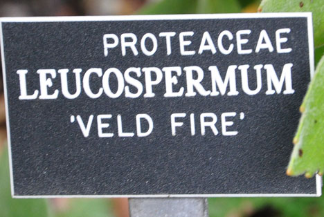 Veld Fire sign