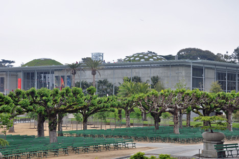 The Living Roof - California Academy of Sciences