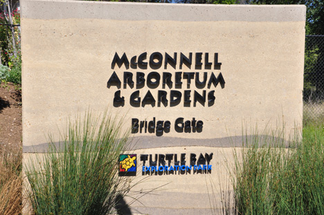 sign- McConnell Arboritum & Gardens