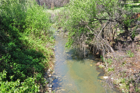 Sulphur Creek 
