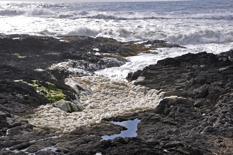 Pacific Ocean crashing into a tide pool