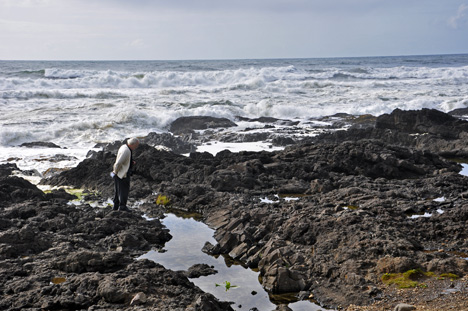 Lee Duquette and the tide pools
