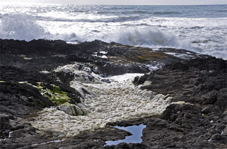 Pacific Ocean crashing into a tide pool