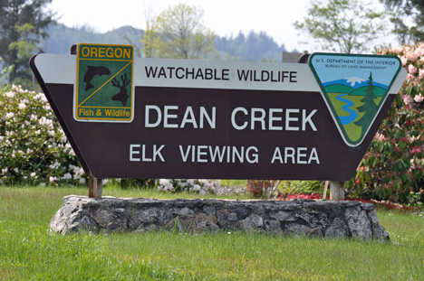 sign - elk viewing area