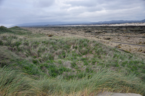 view from top of sand dune
