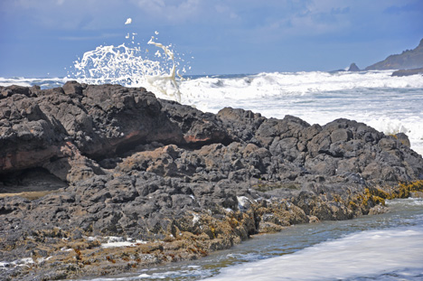 waves crash upon the rocks