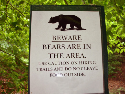 bears in the area