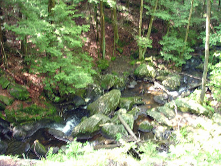 trail to Buttermilk Falls