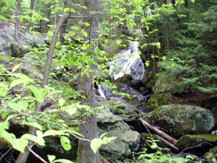 trail at Buttermilk Falls