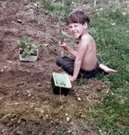 Brian works in the garden 1975