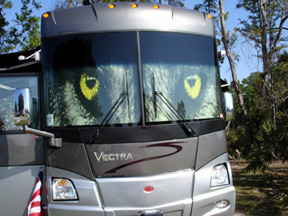 Our RV and wolf eyes