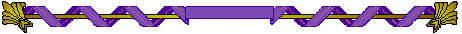 purple twist divider bar